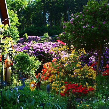 Ferienwohnung Baacke Ruhla Luaran gambar